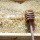 preview image25 nostri prodotti